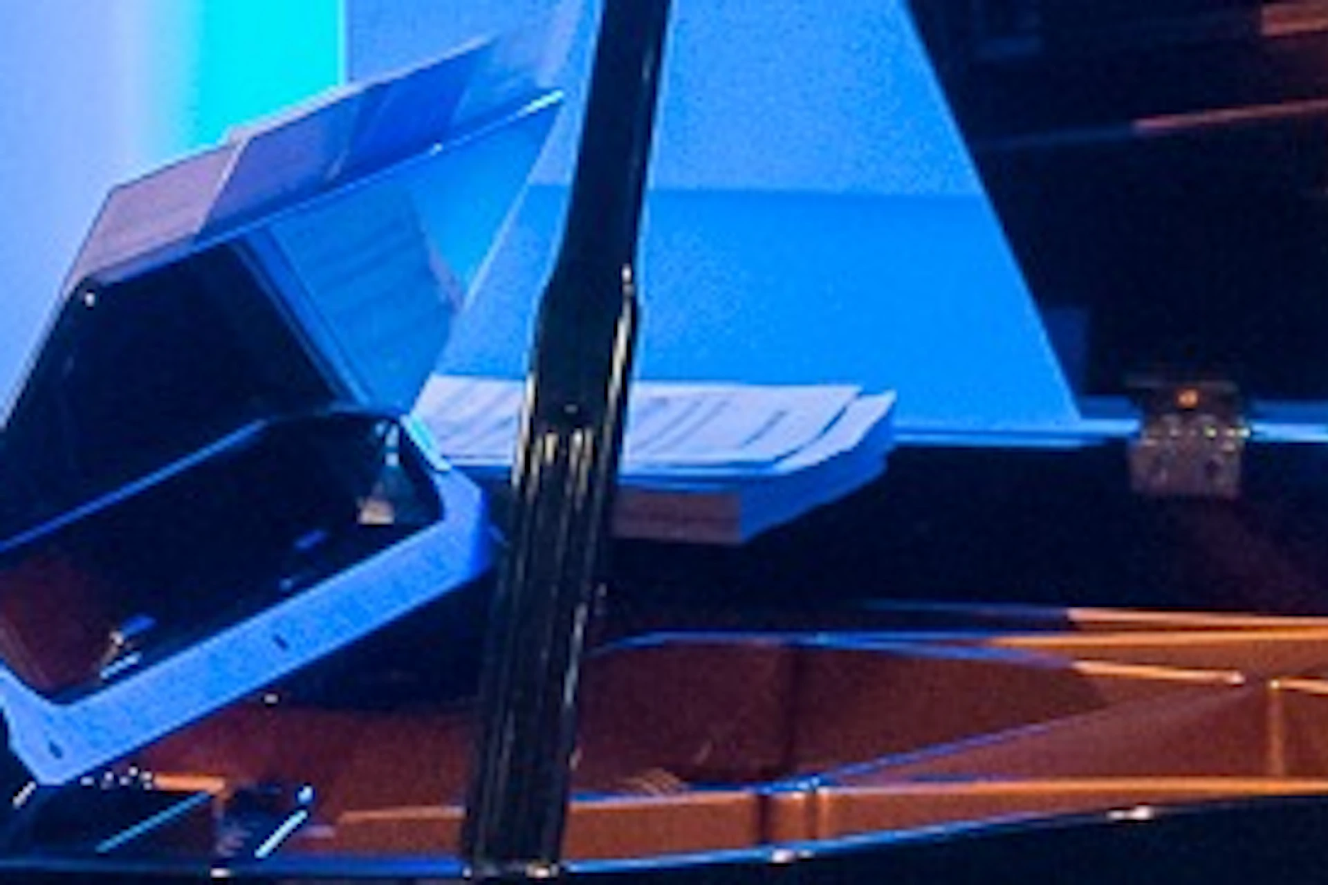 Our musicians perfoming