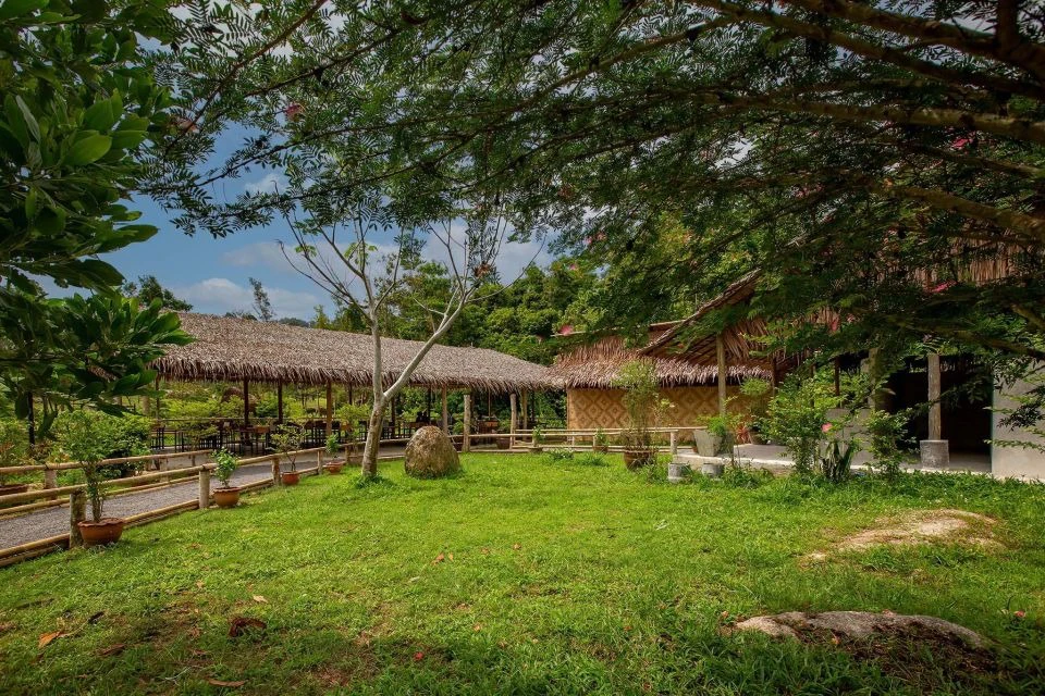 Natural green space and elephants