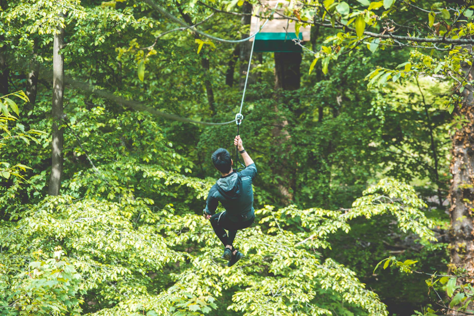 Person ziplining through a dense forest, surrounded by lush green foliage.