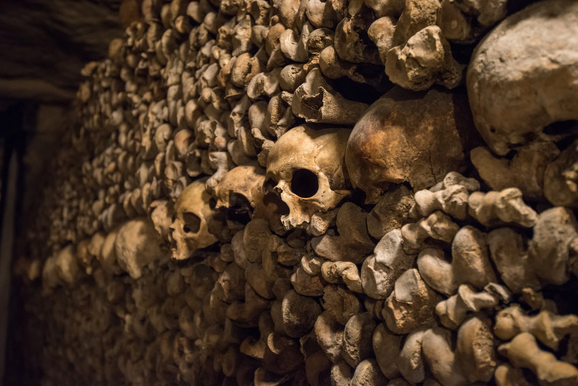 A wall constructed from numerous human skulls and bones, closely packed together in a pattern.