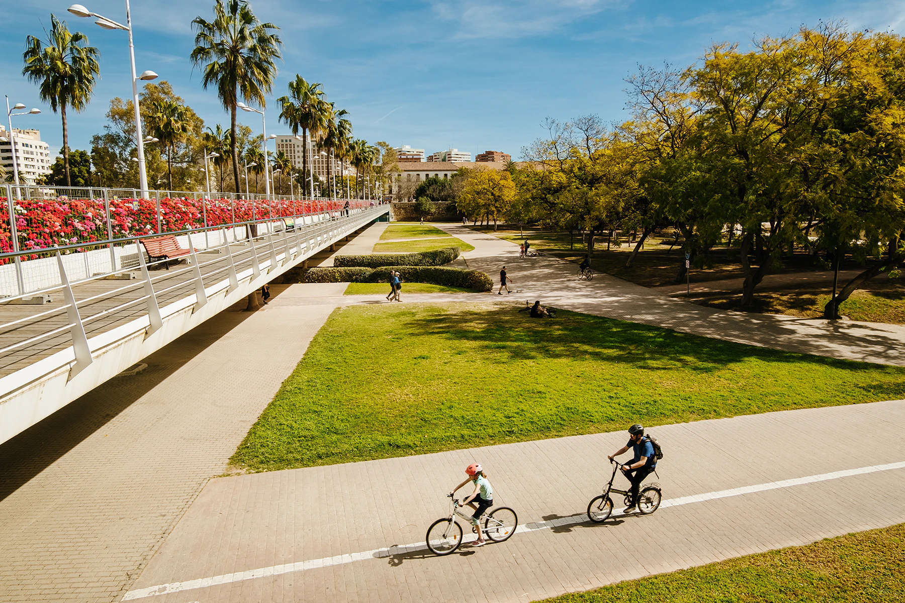 València: Grand City Private Guided Tour