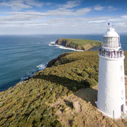 Climb the spiral staircase of the historic Cape Bruny Lighthouse
