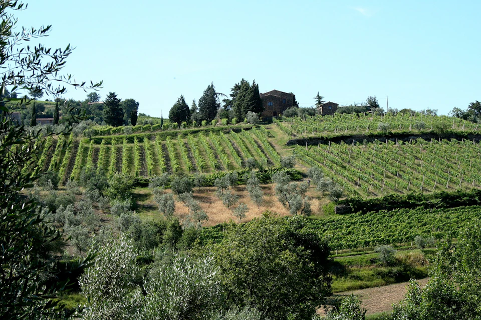 montalcino