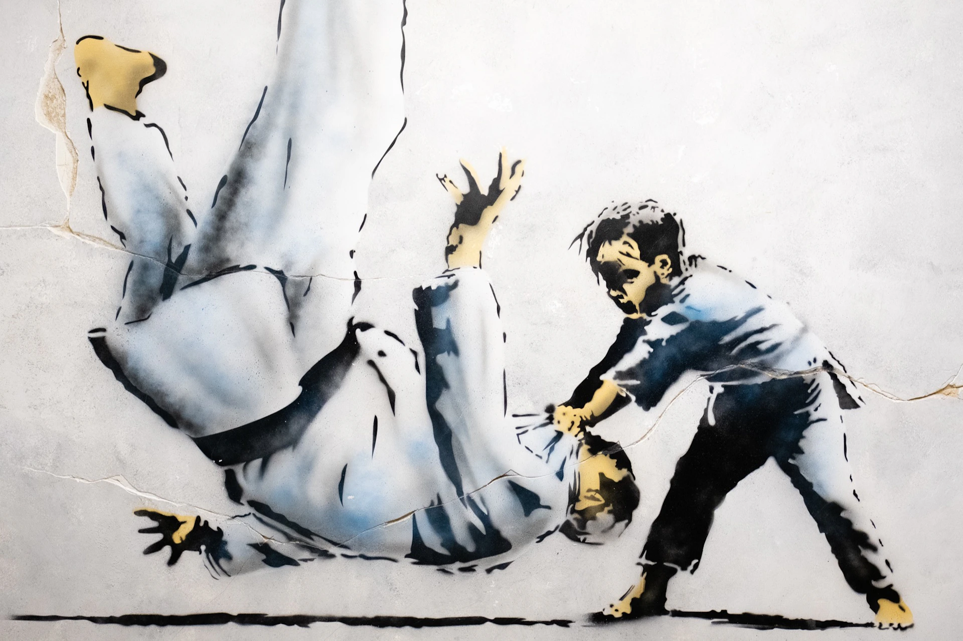 Judo Competition (Ukraine)