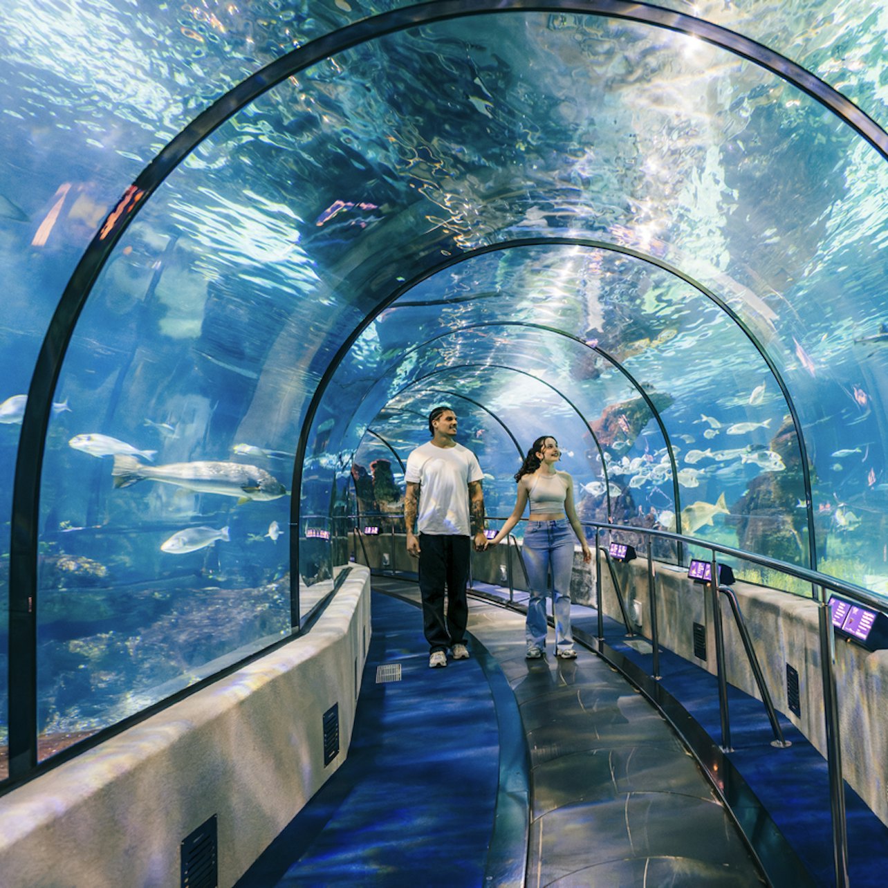 Barcelona Aquarium: Entry Ticket in Barcelona β Tiqets