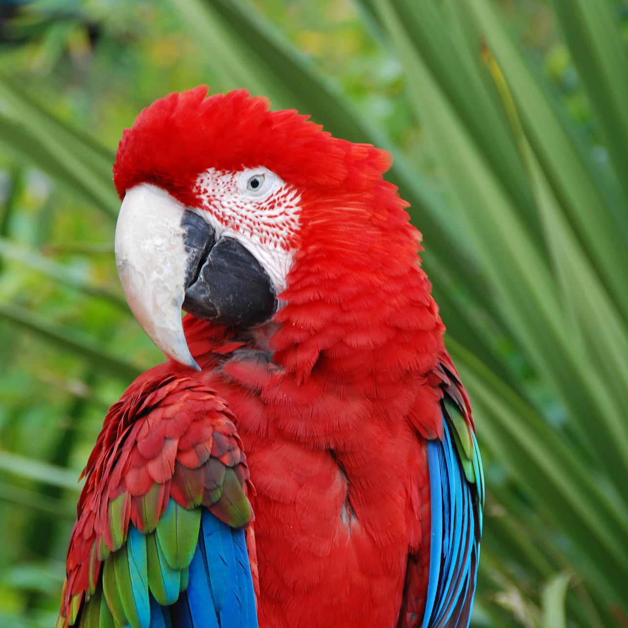 Lisbon Zoo: Fast Track Ticket in Lisbon β Tiqets