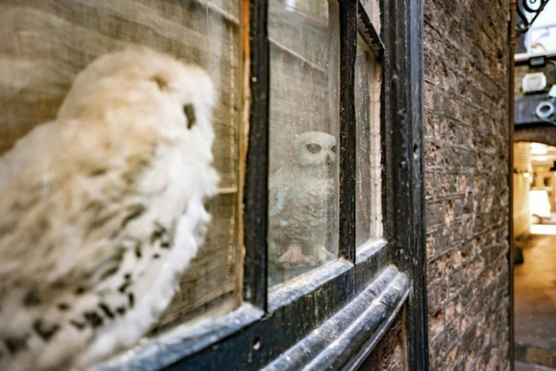 Περιήγηση στον Χάρι Πότερ