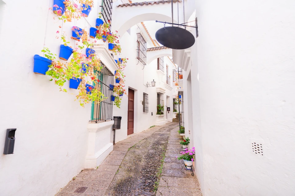 ARCOS Street