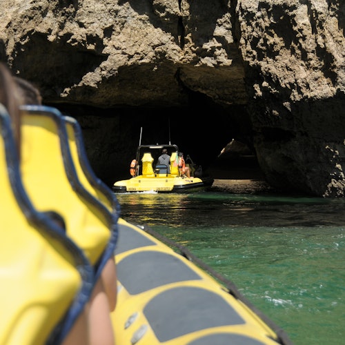 Excursión de cuevas y observación de delfines desde Albufeira en Insónia