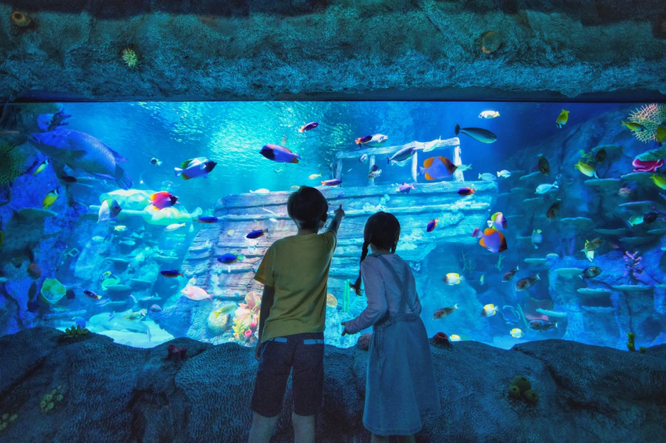 Sea Life Malaysia