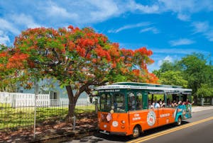 Hop on Hop off Bus Tours in Key West