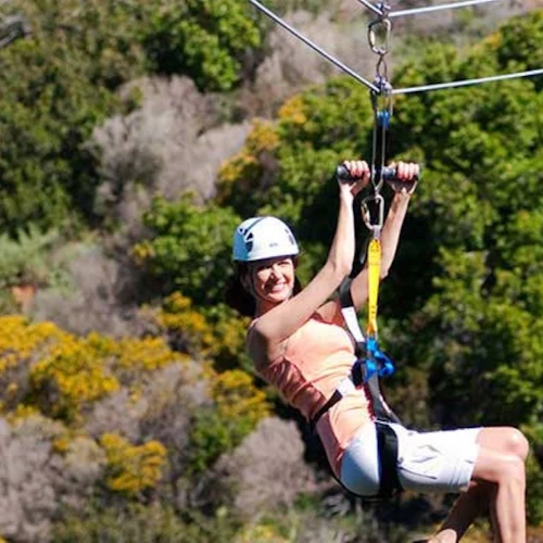 Catalina Island: Day Trip with Zipline Eco Tour - Photo 6