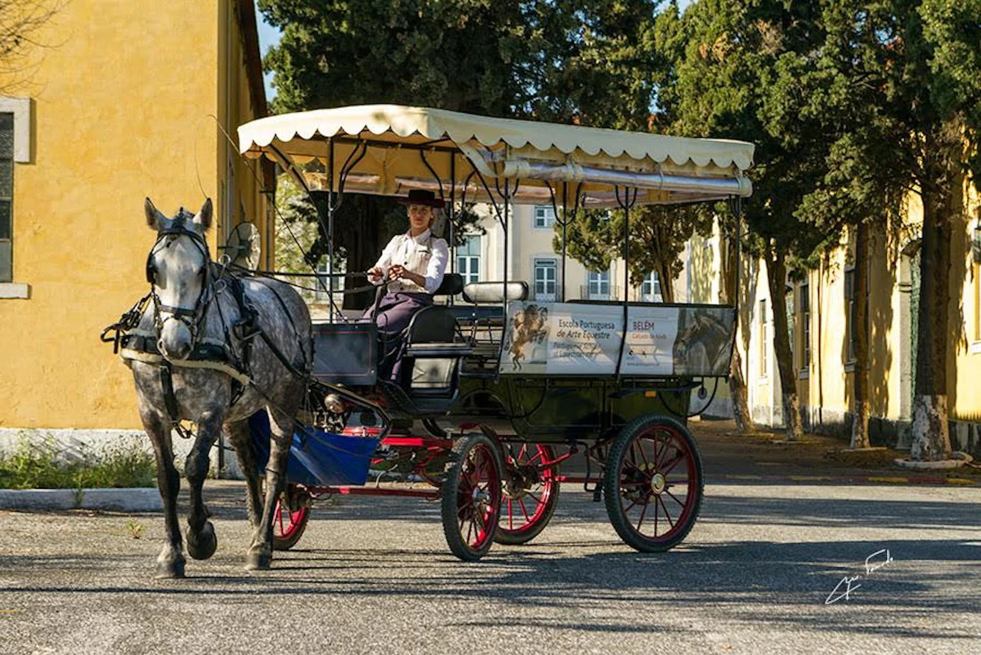 Lisbon: Horse-Drawn Carriage Ride in Belém