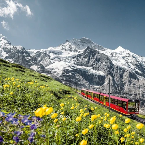 Jungfraujoch: Guided Tour from Lucerne - Photo 3
