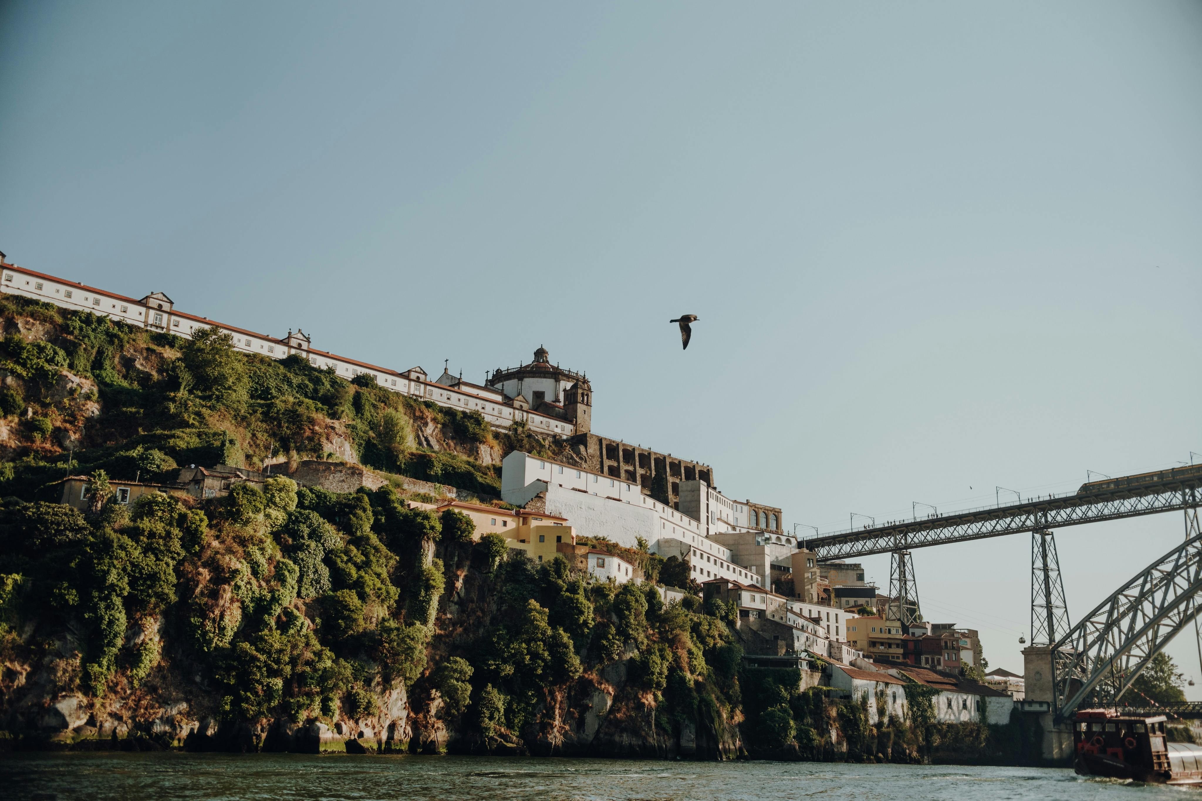 Une colline avec des bâtiments et un pont en arrière-plan, avec un oiseau volant dans le ciel au-dessus.