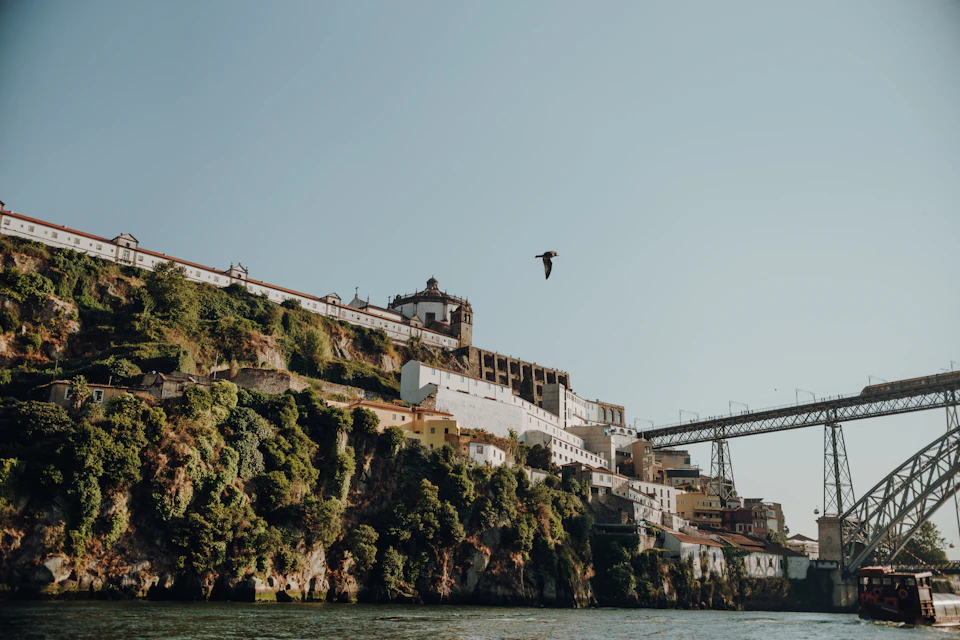 A hillside with buildings and a bridge in the background, with a bird flying in the sky above.