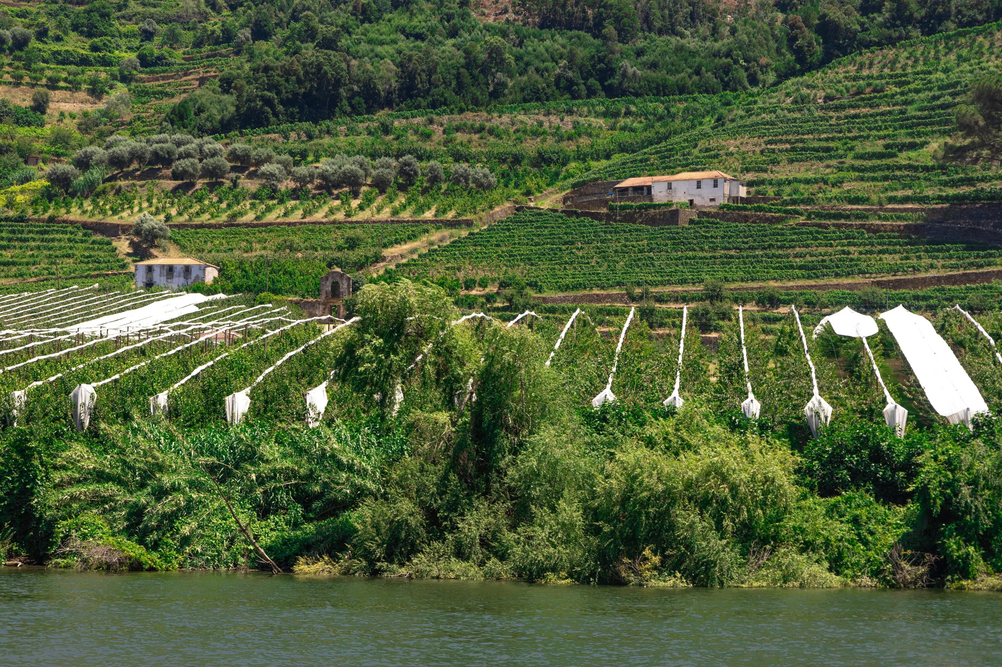 파노라마 풍경 보트
