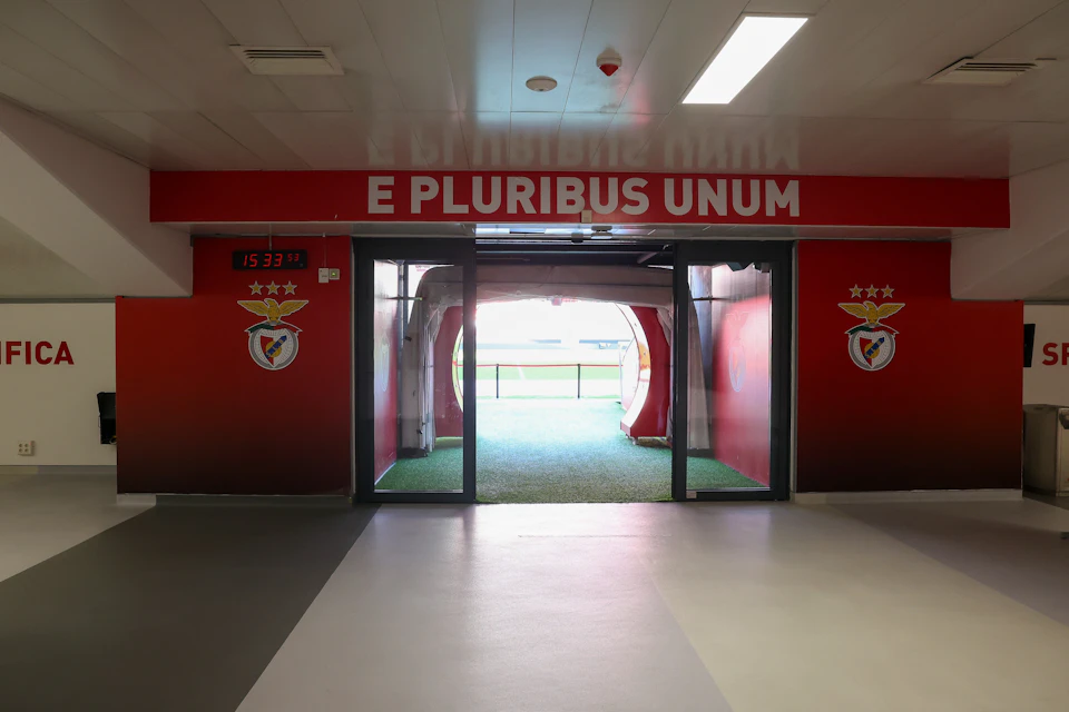 Tunnel access to the lawn
