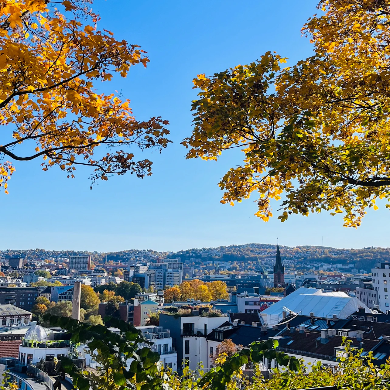 Oslo: Guided Walking Tour + Lunch + Tram Ticket in Oslo – Tiqets