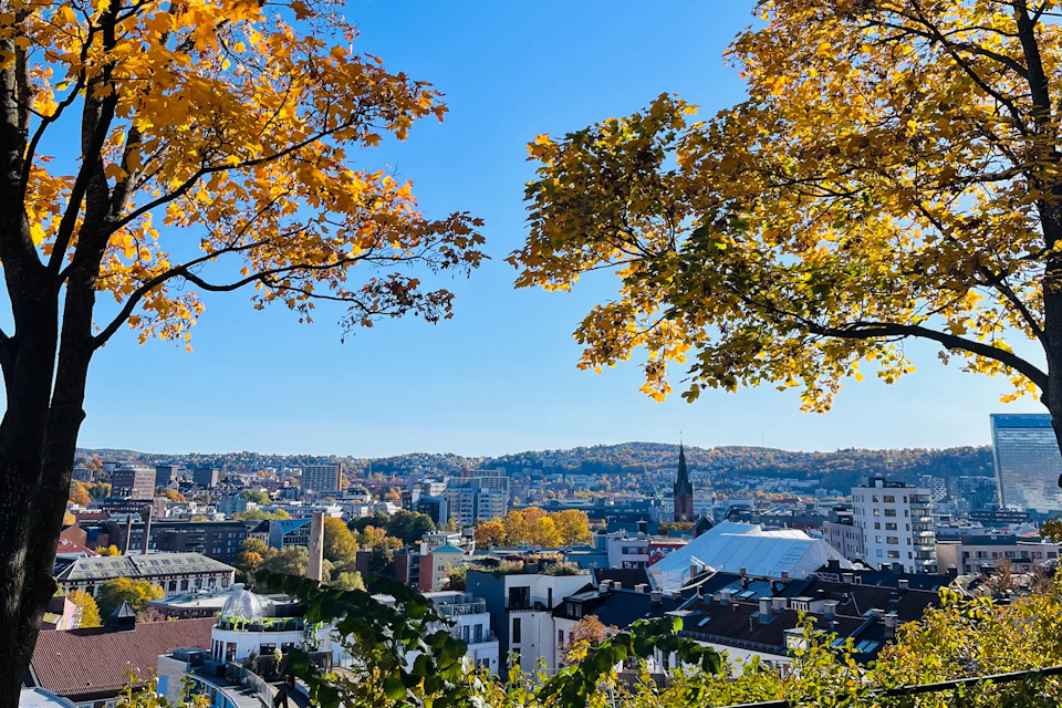 Cityscape view framed by autumn tree branches with yellow leaves. Distant buildings and a church steeple under a clear blue sky.