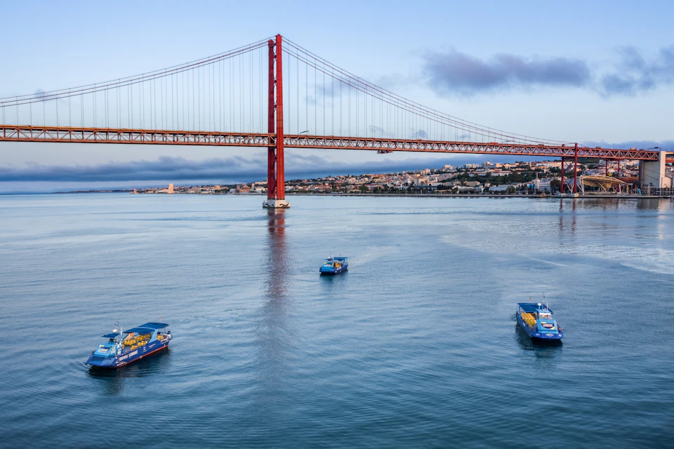 Three tour boats on a calm river with a red suspension bridge in the background and a cityscape on the riverbank.
