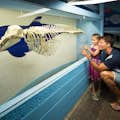 Cancun Interactive Aquarium