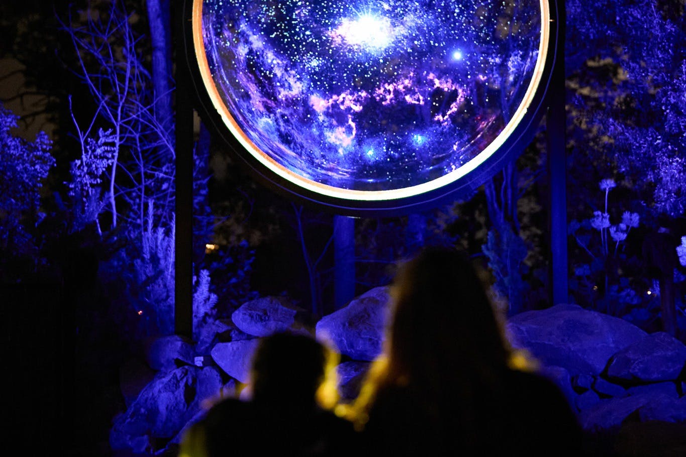 Astra Lumina στο Καταφύγιο Άγριας Ζωής Currumbin