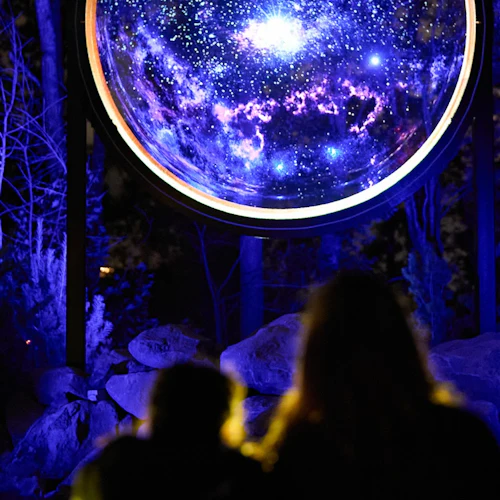 Astra Lumina: Currumbin Wildlife Sanctuary - Photo 6