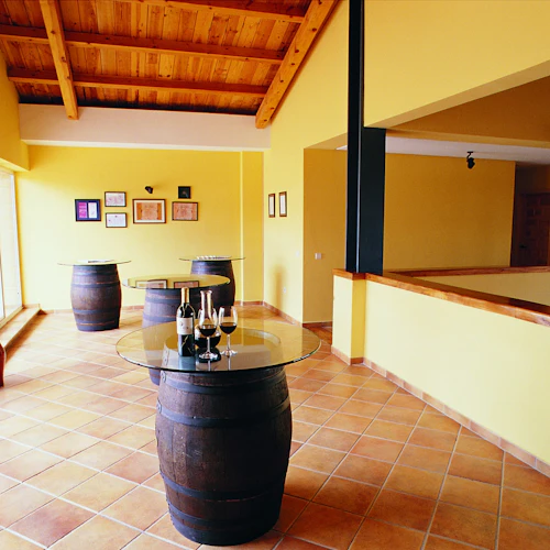 Visita com Vinho, Aperitivo e Opção de Menu de Degustação em Ribera del Duero - Photo 3