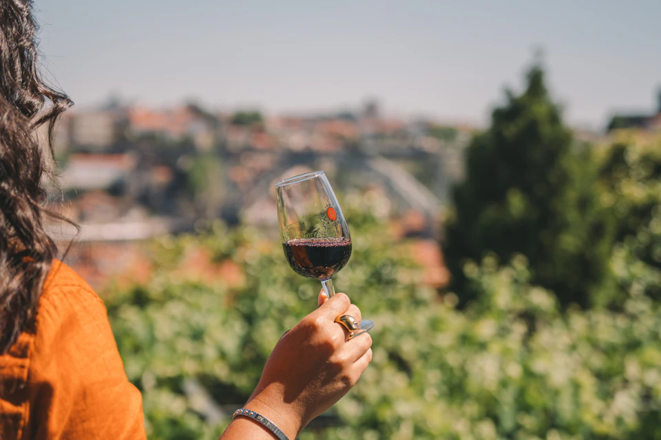 Taylor's Cellars Vila Nova de Gaia