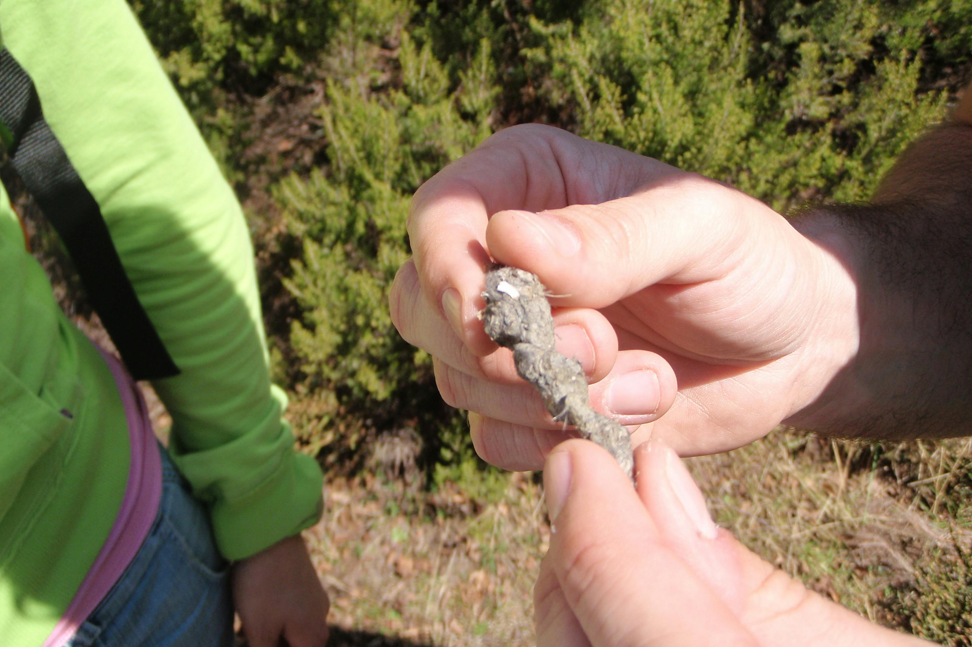 Sentier du loup ibérique dans la Serra do Alvão