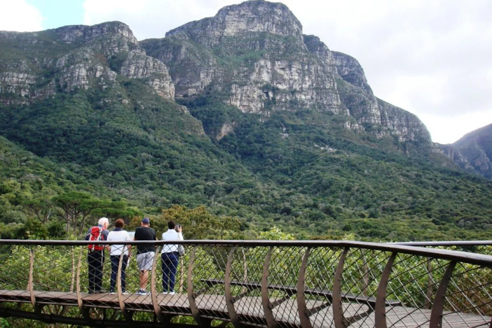 Kirstenbosch Garden