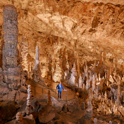 Postojna Cave & Predjama Castle: Half-Day Tour from Ljubljana