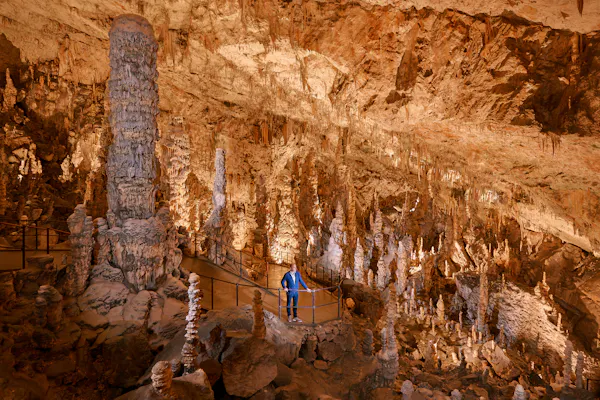 Grotte de Postojna & Château de Predjama : Visite d’une demi-journée depuis Ljubljana