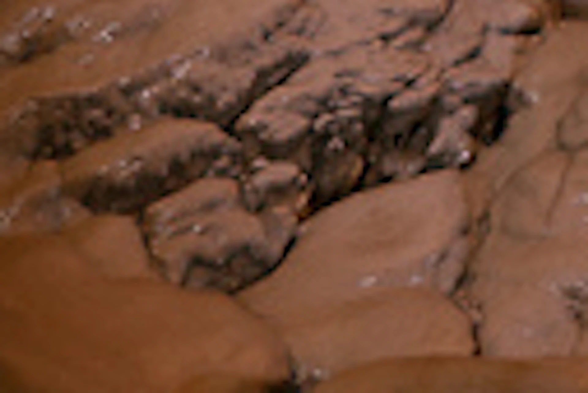 Person standing on a walkway surrounded by large stalactites and stalagmites inside an illuminated cave.
