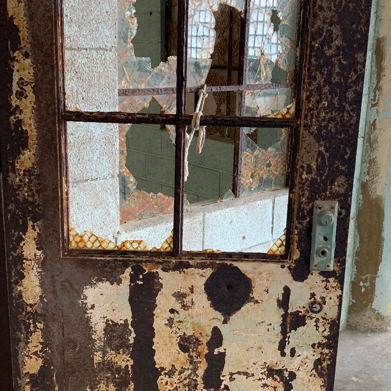 San Francisco: Inside Alcatraz Tour + 1-Hour Cruise in San Francisco – Tiqets