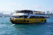 2 Uur Gouden Hoorn en Bosporus Cruise Tour