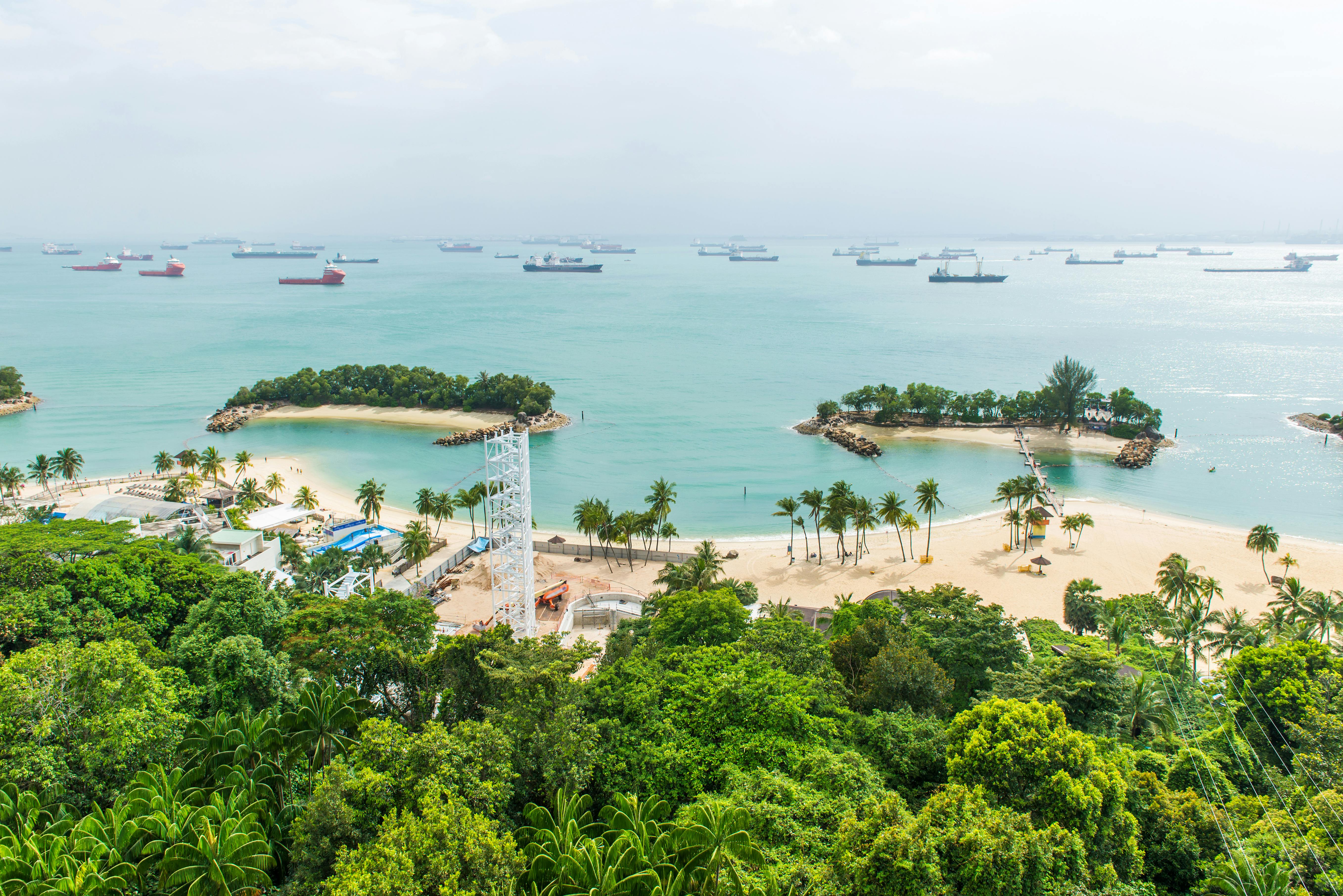 Aerial view of a beach with palm trees, green foliage, and multiple anchored ships in a calm sea under a cloudy sky.