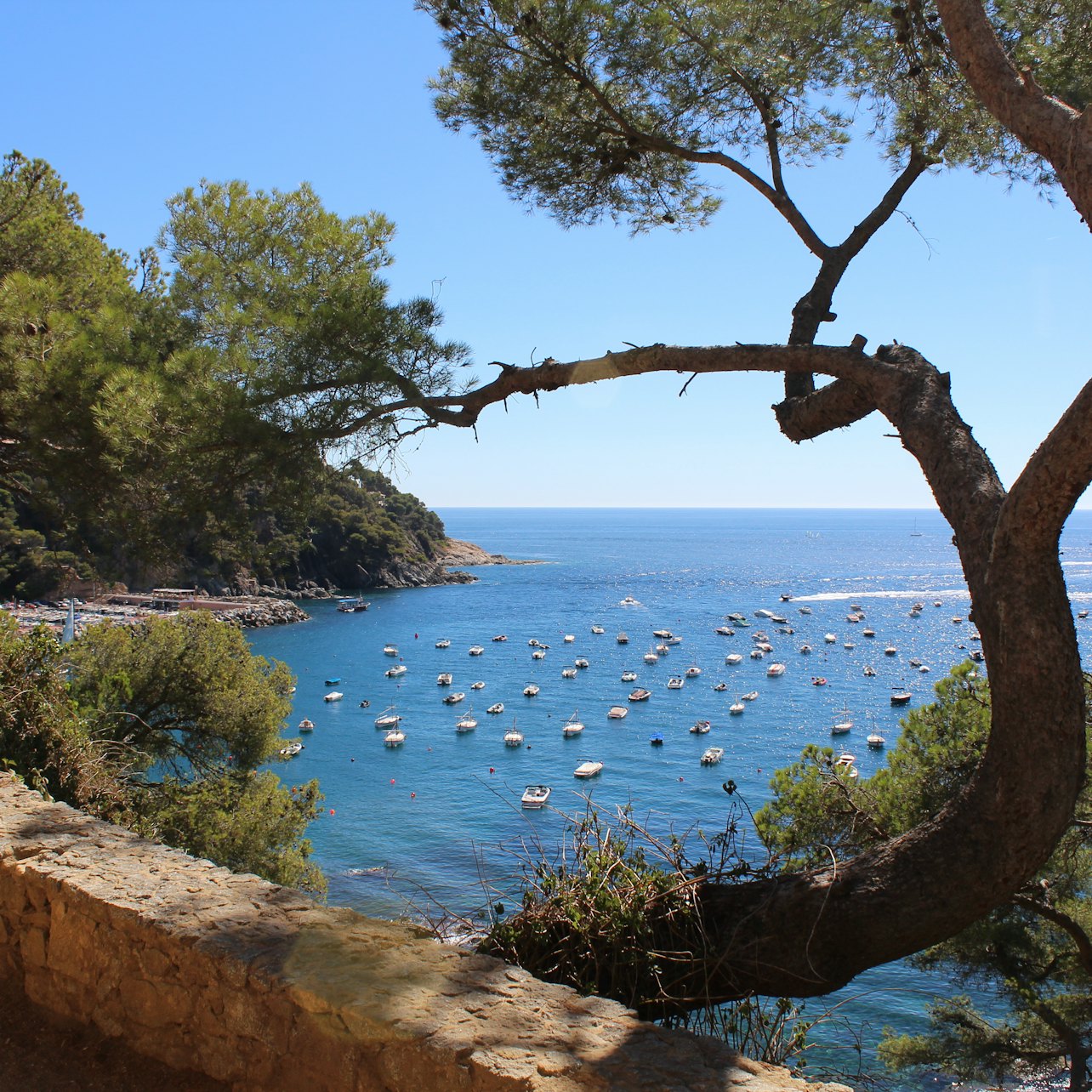 Barcelona to the Costa Brava: Full-Day Tour - Accommodations in Barcelona