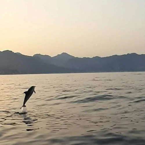 Taormina: Sunset Dolphin Tour + Aperitif - Photo 3