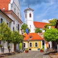 Cobblestoned smalle gade i Szentendre