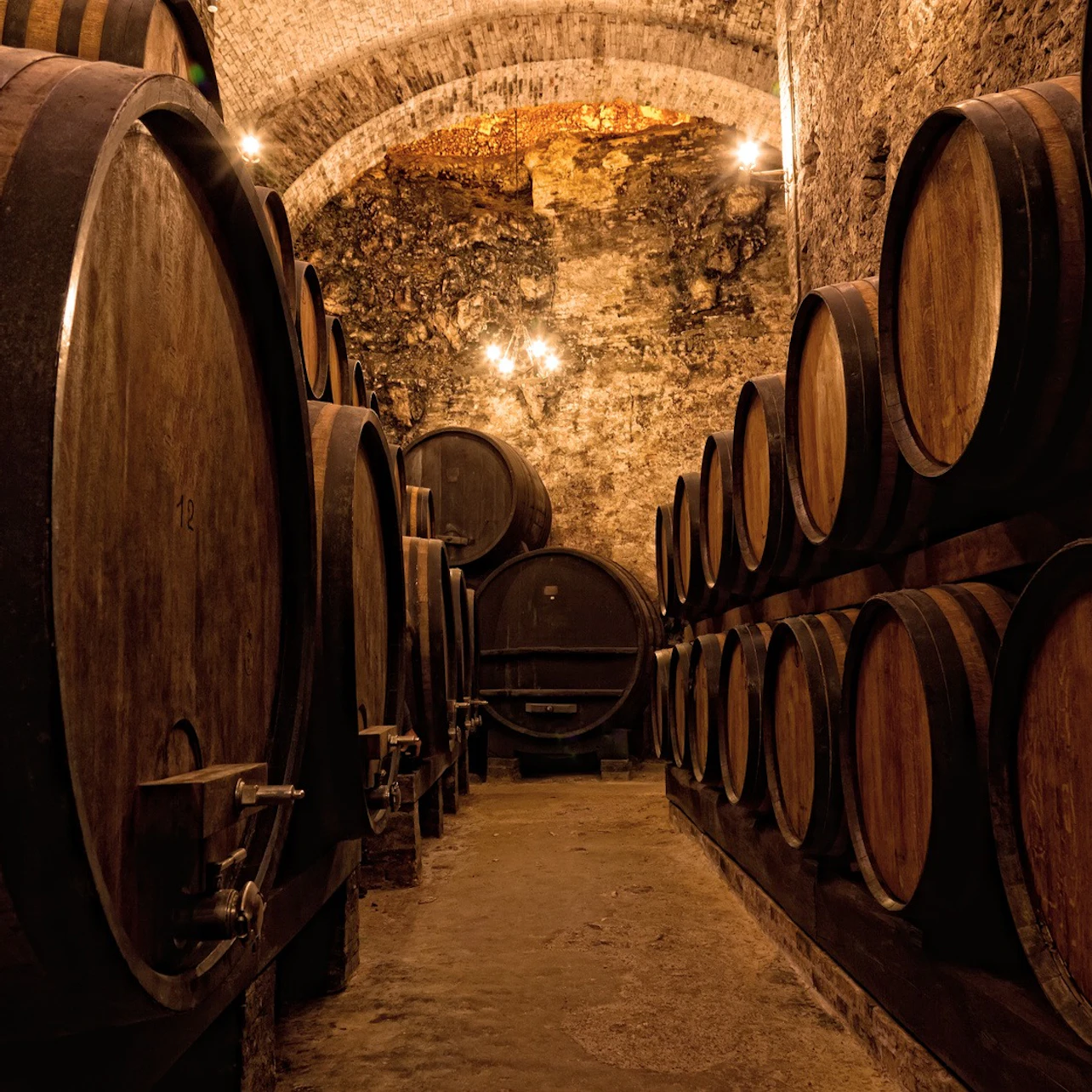 Porto: Guided Walking Tour + Lunch + Wine Tasting + Boat Ride