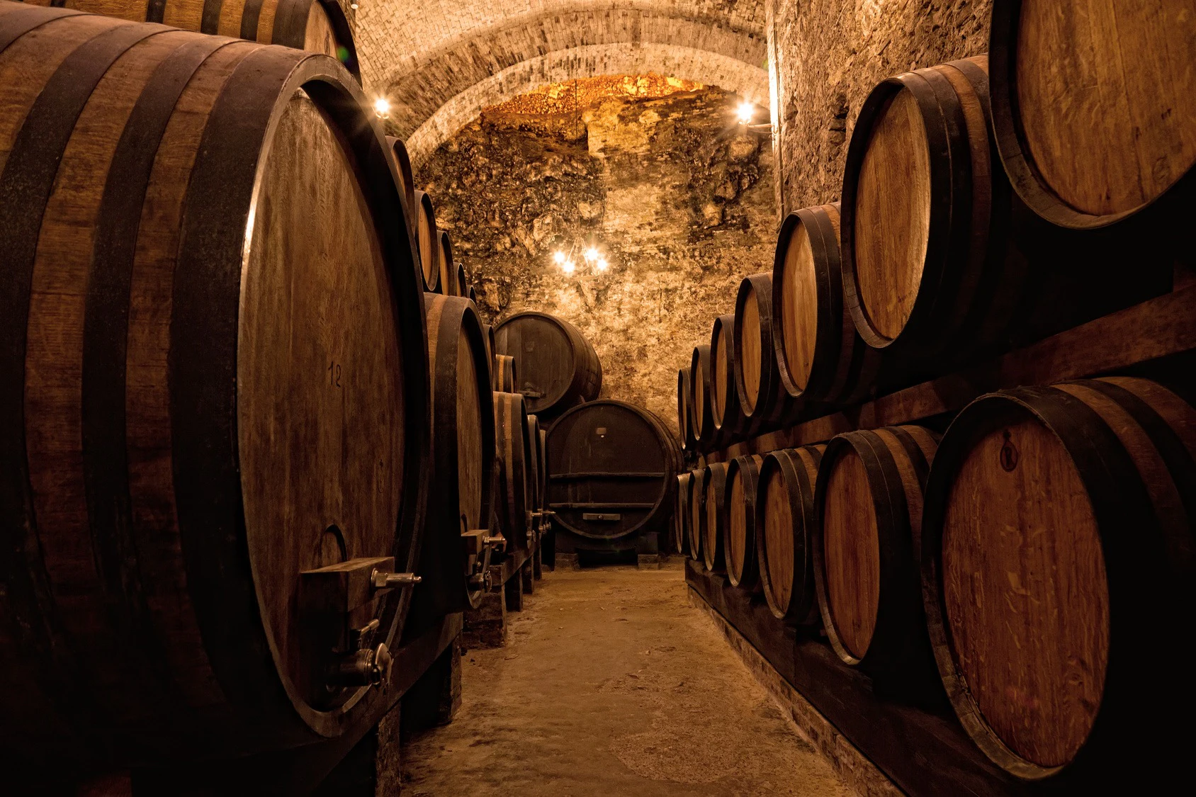Porto: Guided Walking Tour + Lunch + Wine Tasting + Boat Ride