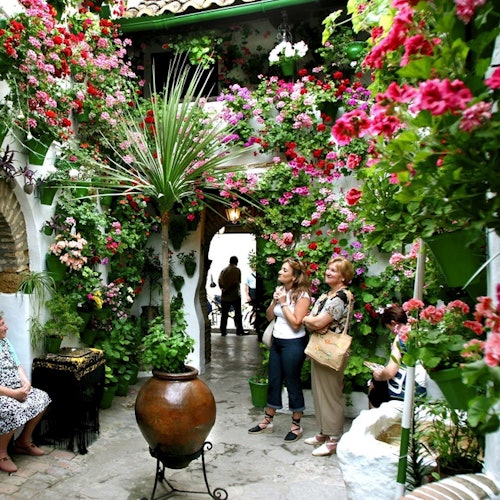 Patios de Córdoba: Guided Tour Patios de Córdoba: Guided Tour