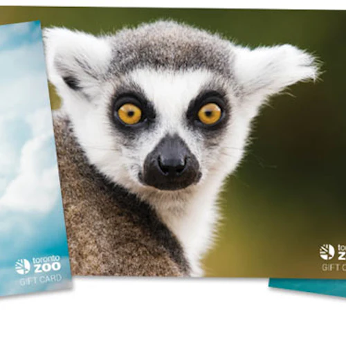 Toronto Zoo: Entry Ticket
