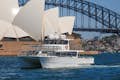 Sydney Walbeobachtung Abenteuer Bootstour