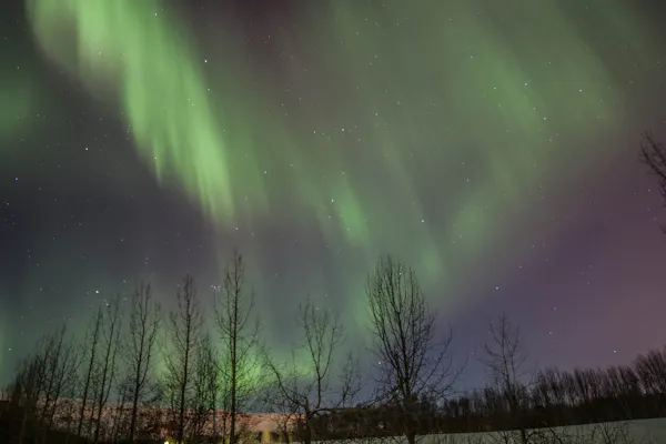 Akureyri : Excursion en petit groupe pour voir les aurores boréales