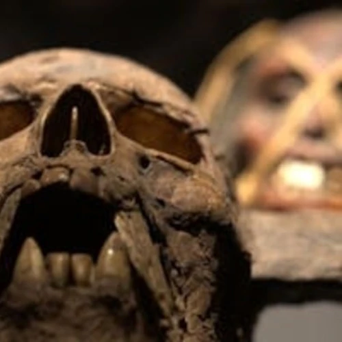 En närbild av en uttorkad skalle med öppen mun och synliga tänder, med suddiga bakgrundselement.