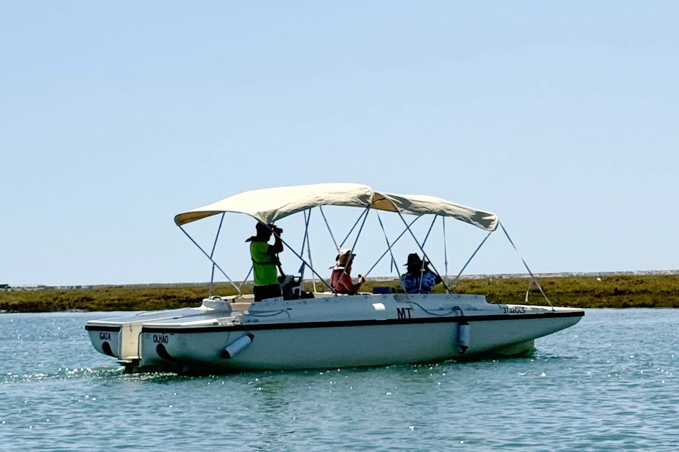 Eco Friendly Boat Tour