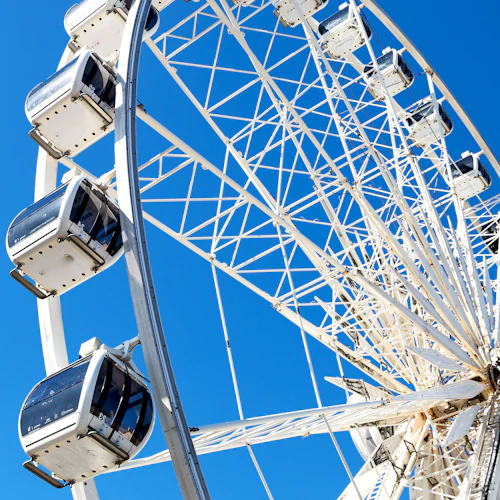Cape Wheel: Fast Track